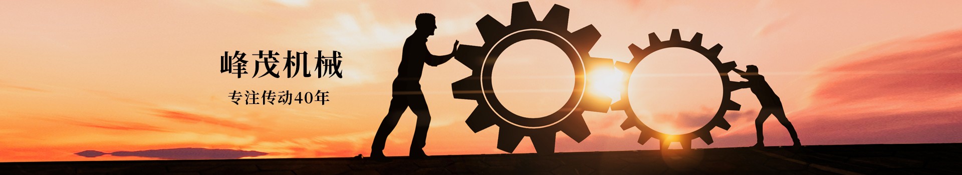 峰茂廠家定期推送齒條加工相關技術動態